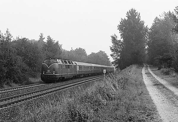 221 122 in Brühl-Heide